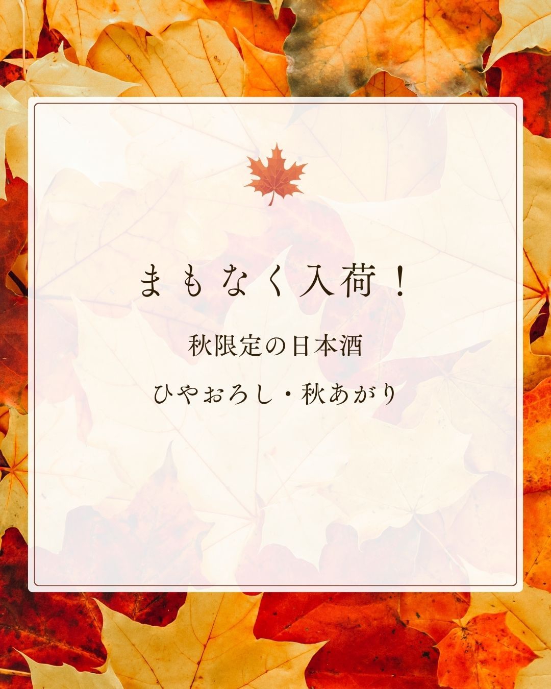 まもなく入荷！